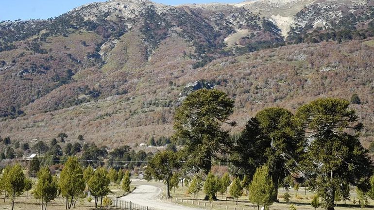 Asfaltarán la entrada a Moquehue cuando termine el invierno, un anhelo histórico