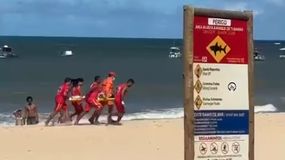 Tiburones al acecho en Brasil: un niño y una joven fueron atacados y sufrieron amputaciones | LM Neuquen Tiburones al acecho en Brasil: un niño y una joven fueron atacados y sufrieron amputaciones