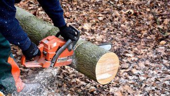 se accidento cortando madera y cobrara mas de $700 mil se accidento cortando madera y cobrara mas de $700 mil