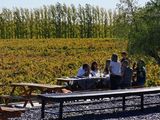 Familia Schroeder organiza comidas, degustaciones y visitas guiadas a sus galerías, incluida la cava del dinosaurio. Foto: Familia Schroeder