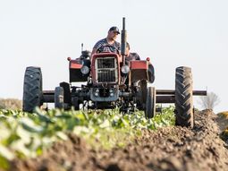 La idea del Gobierno con esta prórroga es consolidar los avances logrados en materia de inclusión laboral. La idea del Gobierno con esta prórroga es consolidar los avances logrados en materia de inclusión laboral.