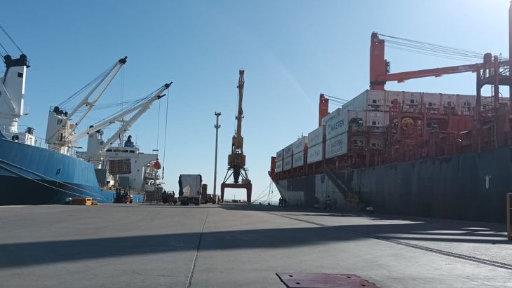 La participación de las exportaciones de manzanas argentinas dentro del hemisferio sur no se recupera.