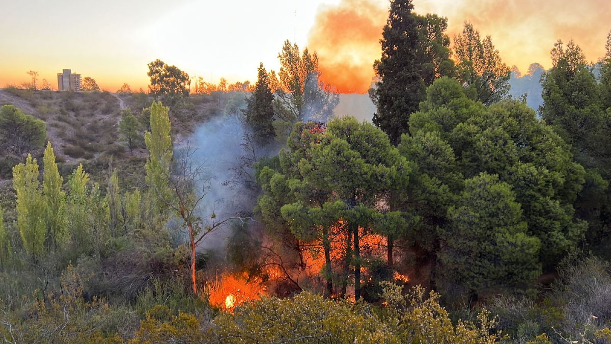 Incendio causó susto en pleno Parque Norte: creen que fue intencional