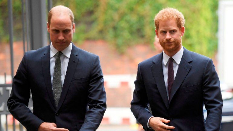Arde la realeza: develan una traición de William a Harry