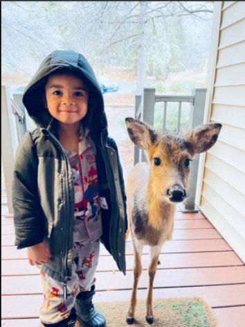 Viral en Facebook: un nene salió a caminar y regresó a casa con un venado