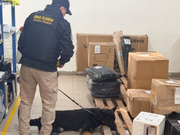 Encomiendas que llegan cargadas a la Patagonia: lo que encontró la policía en una oficina de correo. Encomiendas que llegan cargadas a la Patagonia: lo que encontró la policía en una oficina de correo.