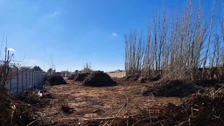 Temen el impacto por desarrollo inmobiliario en Cipoletti / Foto LMC