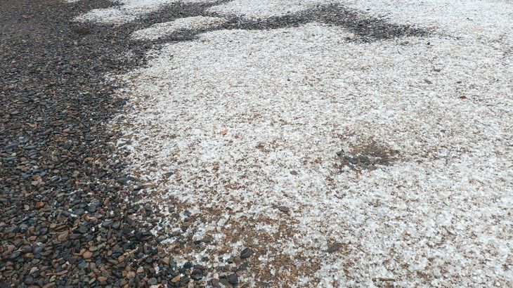 Las primeras fotos llegaron hace solo unos minutos, pasada las 15.30 de hoy viernes. Las primeras fotos llegaron hace solo unos minutos, pasada las 15.30 de hoy viernes.