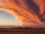 Solo 29% cree que hoy es buen momento para invertir en el agro argentino. Foto: CREA