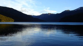 lago falkner