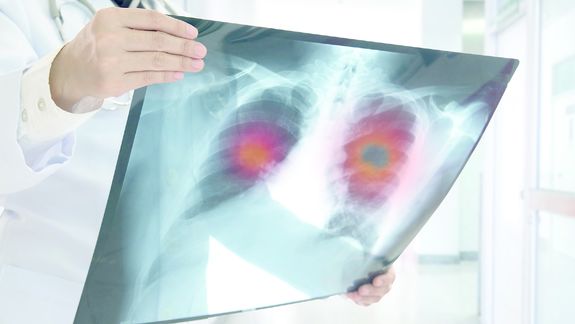 Estos son los avances científicos que marcaron 2024