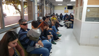 ya son 60 los casos de dengue confirmados en neuquen ya son 60 los casos de dengue confirmados en neuquen