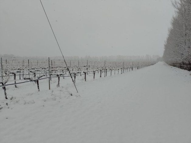 En 11 fotos, la nieve de las calles de Neuquén a las chacras en El Chañar