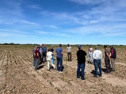formar suelos en la patagonia: se necesitan 6 anos, mucho sol, agua y.. vicia! formar suelos en la patagonia: se necesitan 6 anos, mucho sol, agua y.. vicia!