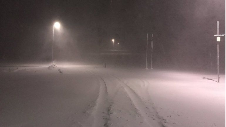 Pino Hachado está cerrado por viento blanco y nieve