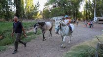 es docente jubilado y transformo su chacra en un original camping: dormis, pileta y animales para visitar