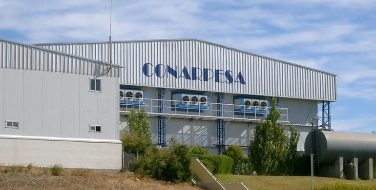 Puerto Madryn: Conarpesa es la pesquera exportadora más grande de la Argentina. Puerto Madryn: Conarpesa es la pesquera exportadora más grande de la Argentina.