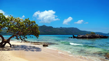 El sargaso, la falta de identidad y los precios excesivos convirtieron a esta playa del caribe en una verdadera decepción para una argentina. | LM Neuquen El sargaso, la falta de identidad y los precios excesivos convirtieron a esta playa del caribe en una verdadera decepción para una argentina.
