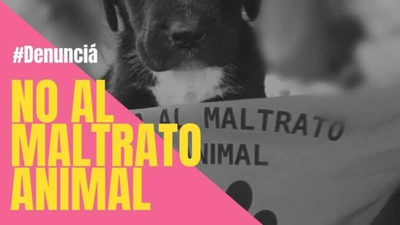 Crueldad animal: la Policía tuvo que ir a buscar un hombre que mató a una perrita