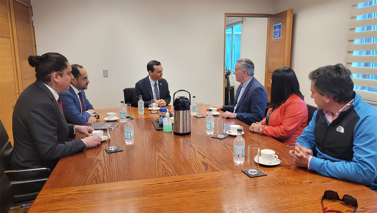 Sánchez habló de terrorismo mapuche y dijo que subestimarlo es de ineptos o cómplices