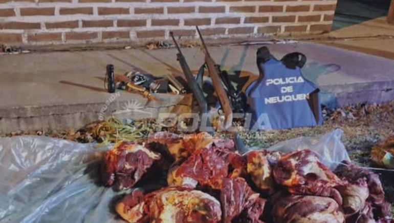La carne de ciervo producto de la caza ilegal secuestrada en el operativo.