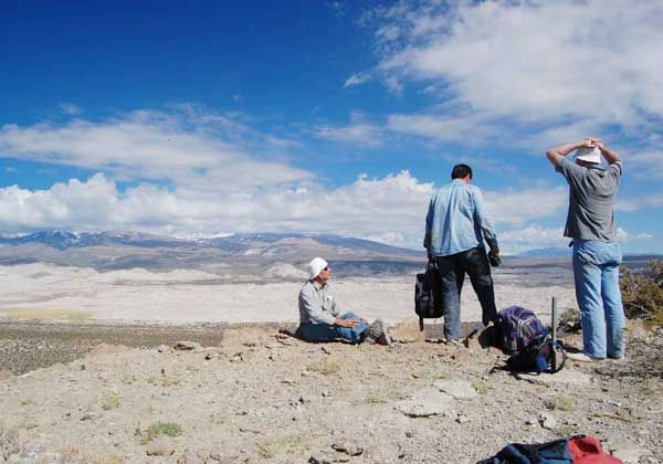 Estudiarán especies del Jurásico