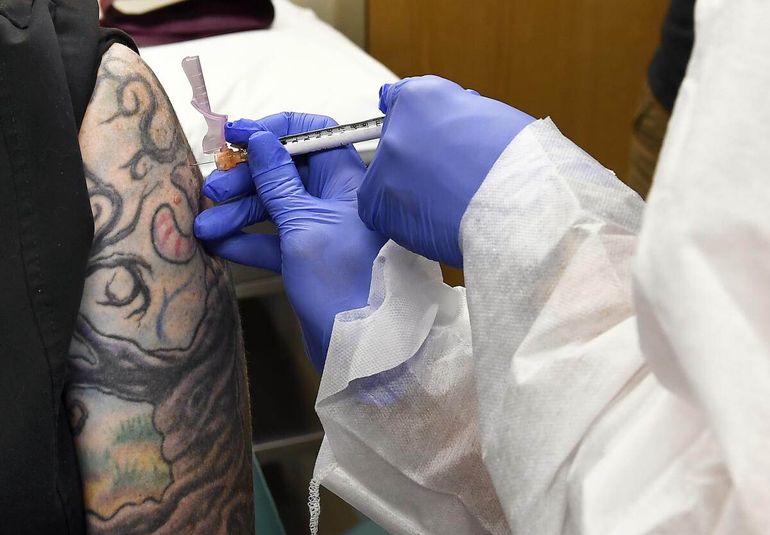 Científicos sugieren realizar más estudios en humanos antes de tomar decisiones sobre vacunas y tatuajes.