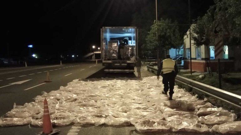 Secuestraron más de 150 costillares que venían a Neuquén