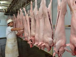 El consumo de cerdo en la Argentina crece, la importación también. El consumo de cerdo en la Argentina crece, la importación también.