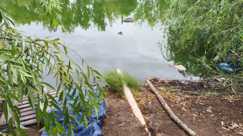 Peces muertos en Senillosa: detectan un pozo cloacal clandestino en una vivienda | LM Neuquen Peces muertos en Senillosa: detectan un pozo cloacal clandestino en una vivienda