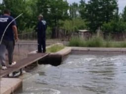 horror en allen: encuentran flotando en un canal de riego el cuerpo de un hombre horror en allen: encuentran flotando en un canal de riego el cuerpo de un hombre