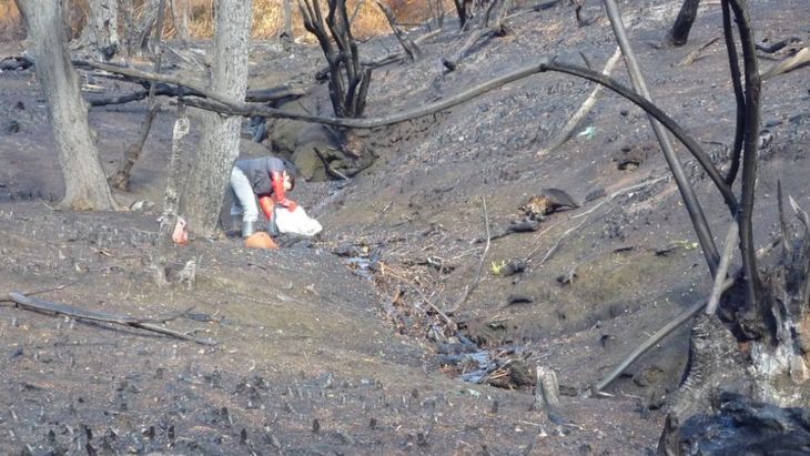 Arroyo postincendio en la región andino-patagónica en Chubut. Gentileza: investigadoras. Arroyo postincendio en la región andino-patagónica en Chubut. Gentileza: investigadoras.