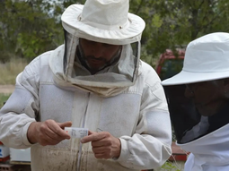 El 2° Encuentro Apícola Federal está programado para el 25 y 26 de junio de 2024 en Cipolletti. El 2° Encuentro Apícola Federal está programado para el 25 y 26 de junio de 2024 en Cipolletti.