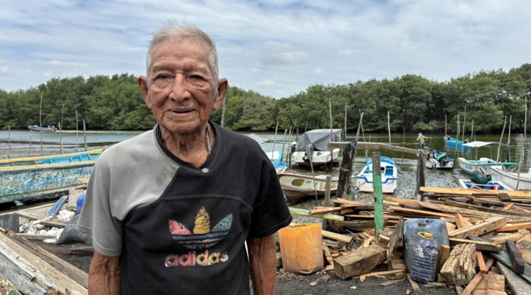 La alimentación sencilla