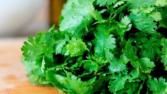 Los grandes efectos terapéuticos que ofrece el cilantro