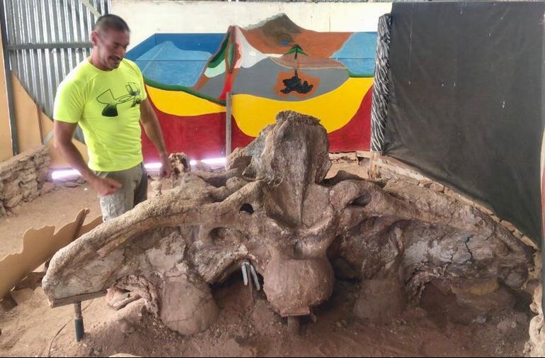 Jorge Calvo junto a la cadera de 255 centímetros de ancho del Futalognkosaurus. 