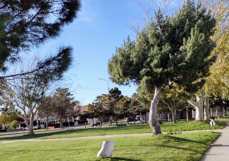 El Paseo Villalobos será el escenario de una sesión de meditación colectiva en la tarde del sábado en Rada Tilly. El Paseo Villalobos será el escenario de una sesión de meditación colectiva en la tarde del sábado en Rada Tilly.