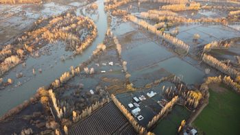 la crecida desnudo el negocio de loteos clandestinos en la costa del rio neuquen la crecida desnudo el negocio de loteos clandestinos en la costa del rio neuquen