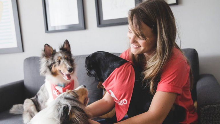 Cómo desinfectar las mascotas antes de entrar a casa