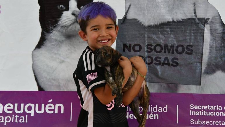 Los chicos salieron contentos de la jornada donde cada uno pudo llevarse una mascota al nuevo hogar. Los chicos salieron contentos de la jornada donde cada uno pudo llevarse una mascota al nuevo hogar.