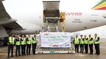 Tras un viaje de 25 horas, las cerezas debutaron en China con una fuerte demanda y valores que confirman su estatus de fruta estrella.(Foto: Andrés Gebauer) Tras un viaje de 25 horas, las cerezas debutaron en China con una fuerte demanda y valores que confirman su estatus de fruta estrella.(Foto: Andrés Gebauer)