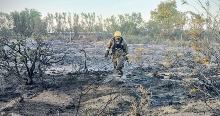 Bomberos trabajan en la zona de pastizales afectada por el incendio causado por un loro en Puerto Madryn.