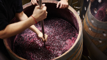 Hacia un nuevo modelo: El plan estratégico de San Juan contempla la reconversión de 21.800 hectáreas. | LM Neuquen Hacia un nuevo modelo: El plan estratégico de San Juan contempla la reconversión de 21.800 hectáreas.