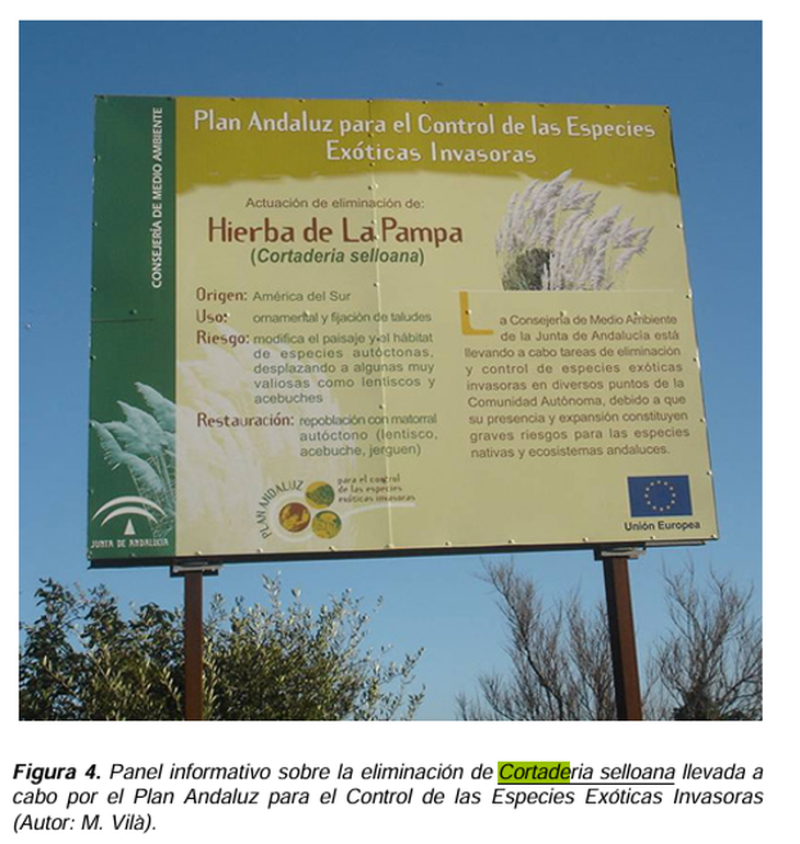 Fuente: Análisis de la gestión de las plantas exóticas en los espacios naturales españoles. Fuente: Análisis de la gestión de las plantas exóticas en los espacios naturales españoles. 