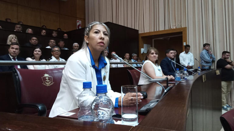 Interna en el MPN, el sector petrolero carga fuerte contra Llancafilo: Busca ser adoptado por el poder