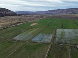 Resultados tangibles: El proyecto de riego suma 43 hectáreas en producción. Se esperan 700 a 800 rollos para fortificar la alimentación del ganado este otoño seco. Foto: gentileza Resultados tangibles: El proyecto de riego suma 43 hectáreas en producción. Se esperan 700 a 800 rollos para fortificar la alimentación del ganado este otoño seco. Foto: gentileza
