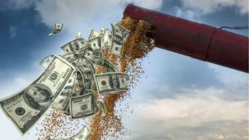 Dólar. Sequía. Campo.jpg
