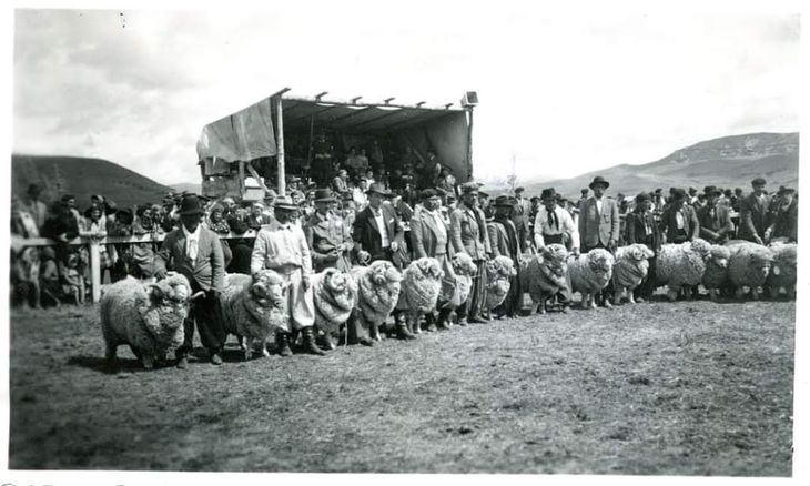 Una de las primeras exposiciones en las cuales la producción ovina era la principal actividad en los campos patagónicos. Foto: gentileza SRN. Una de las primeras exposiciones en las cuales la producción ovina era la principal actividad en los campos patagónicos. Foto: gentileza SRN.