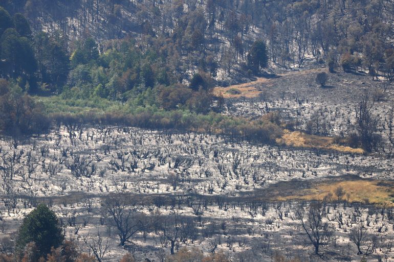 Así quedaon hectáreas arrasadas por el fuego en el Valle de Magdalena.