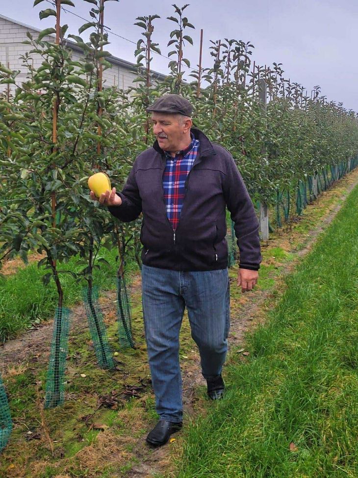 El árbol fue monitoreado desde un principio, cuando se comenzó a observar el tamaño sobrenatural del fruto. El árbol fue monitoreado desde un principio, cuando se comenzó a observar el tamaño sobrenatural del fruto.